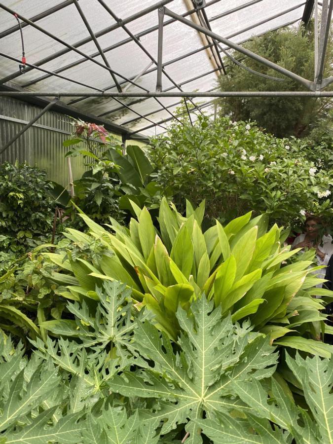 Green Hotel - Maravel Botanical Garden Spílion エクステリア 写真
